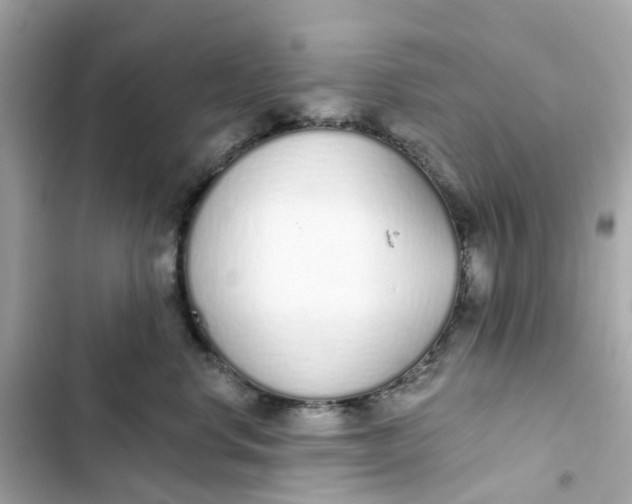 X0000103280668200809191807