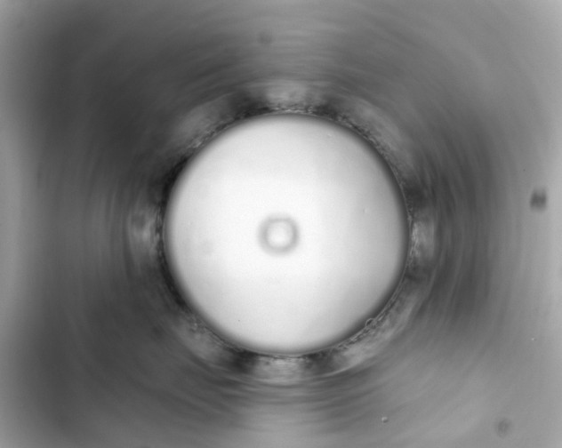 X0000103280671200809191807