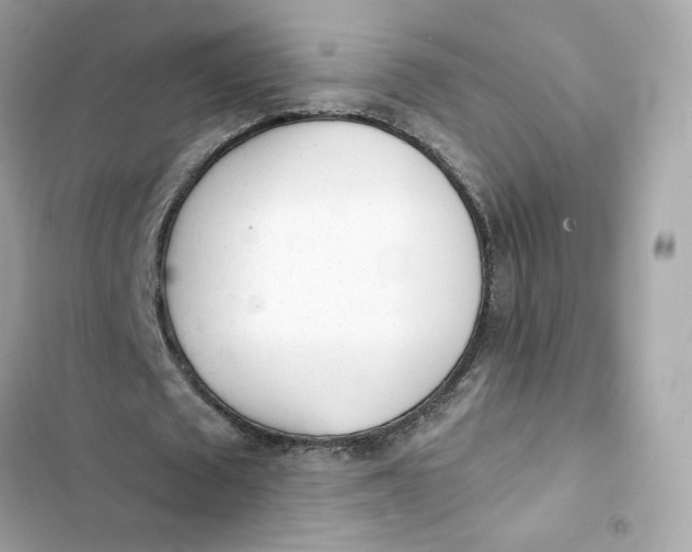 X0000103280673200809191807