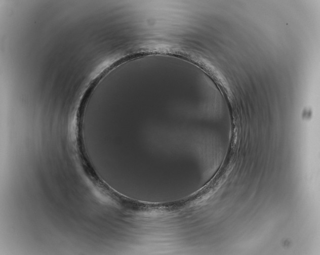 X0000103280674200809191806