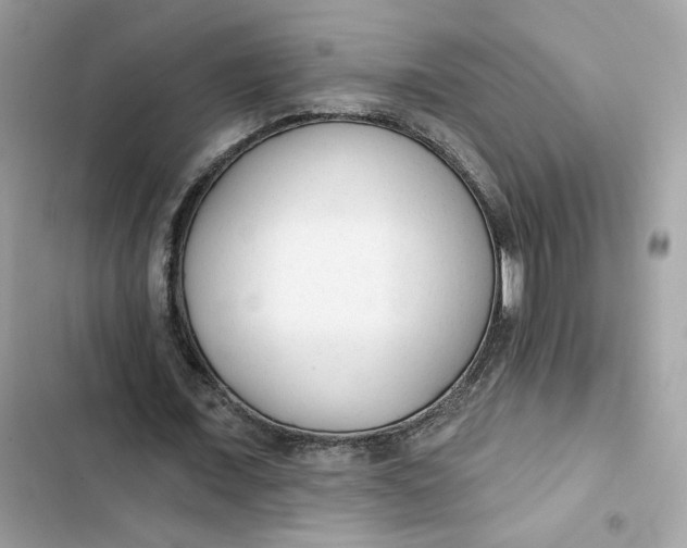 X0000103280675200809191806