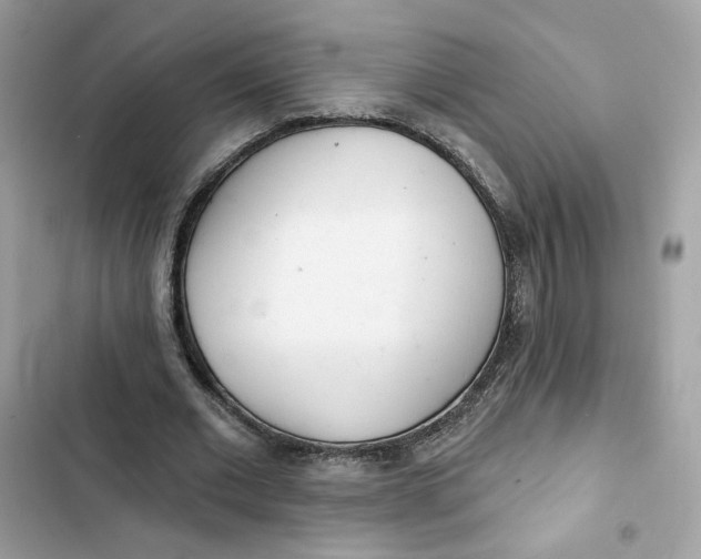 X0000103280677200809191806