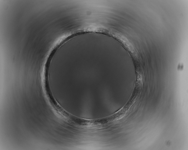 X0000103280678200809191806