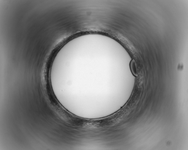 X0000103280680200809191806