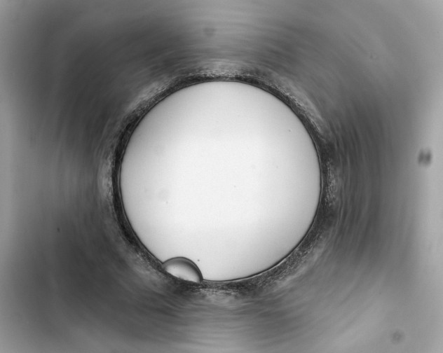 X0000103280681200809191806