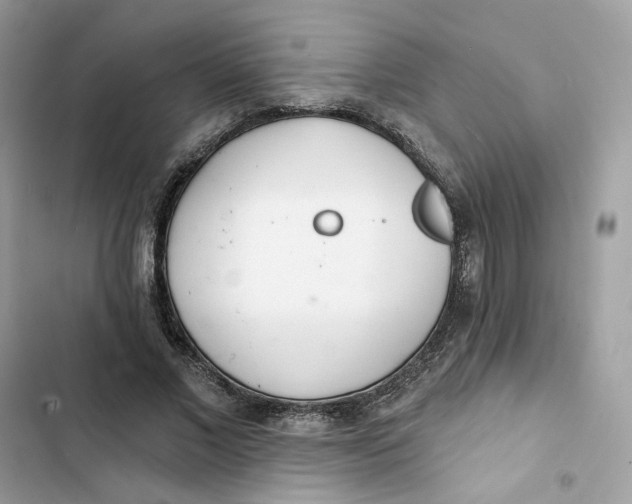 X0000103280685200809191806