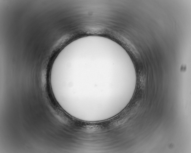 X0000103280686200809191806