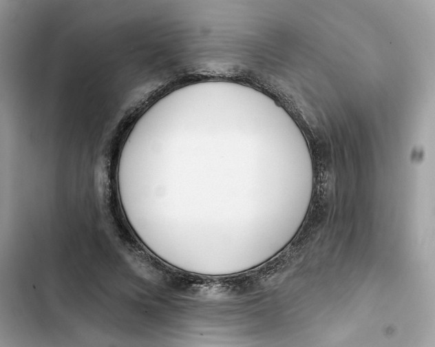 X0000103280688200809191806