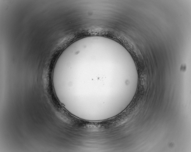 X0000103280690200809191806