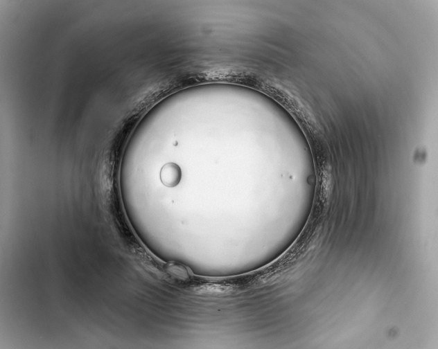 X0000103280691200809191806