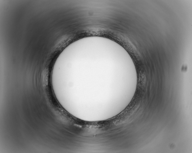 X0000103280694200809191806