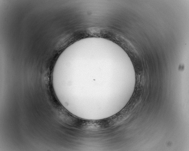 X0000103280702200809191806