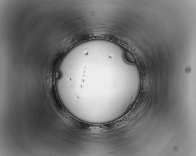 X0000103280703200809191806