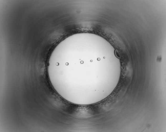 X0000103280704200809191806