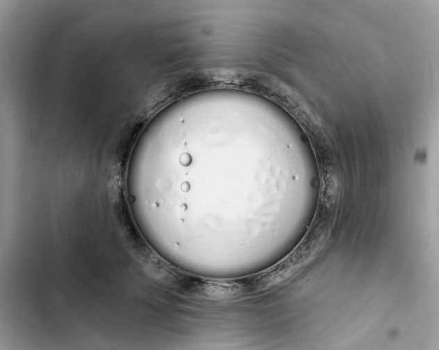 X0000103280707200809191806