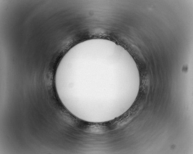 X0000103280708200809191806