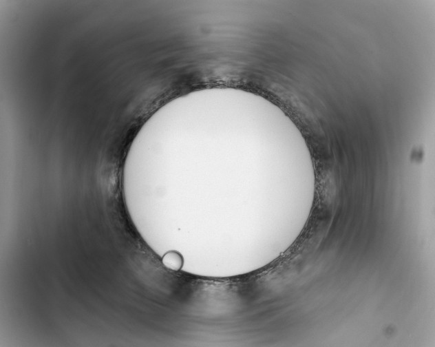 X0000103280709200809191806