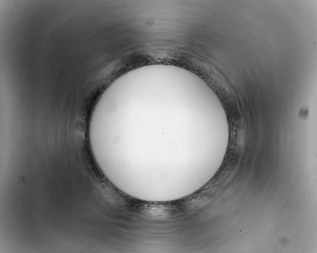 X0000103280710200809191806