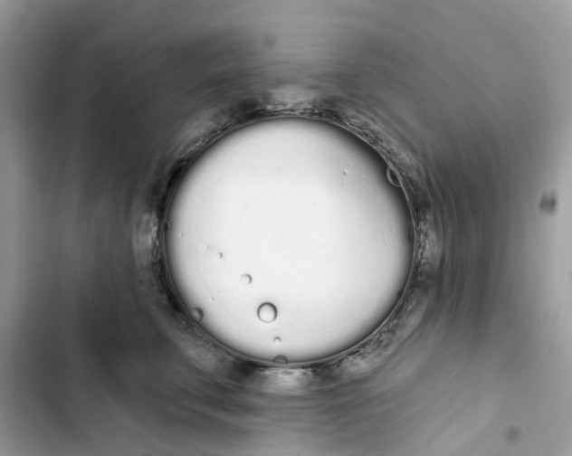 X0000103280711200809191806