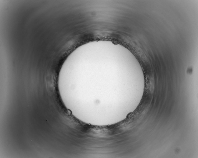 X0000103280712200809191806