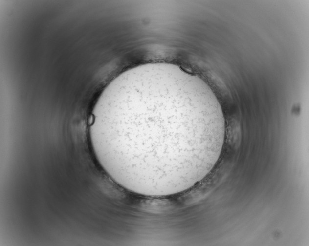 X0000103280716200809191806