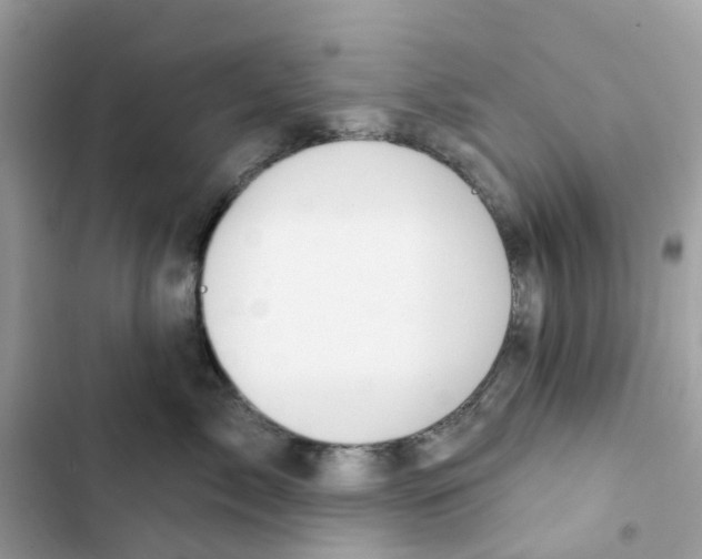 X0000103280717200809191806