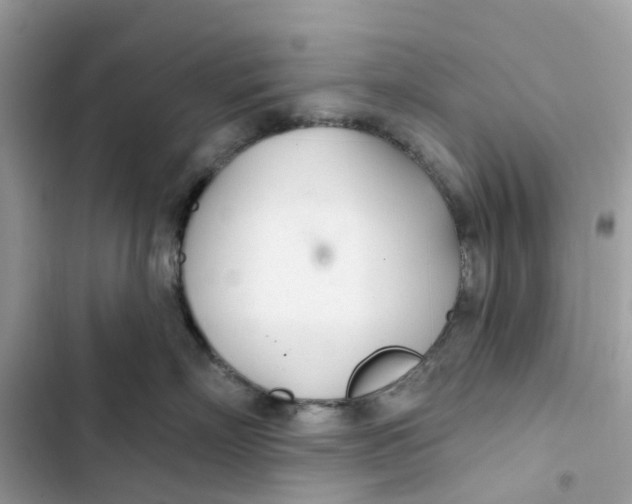 X0000103280718200809191806