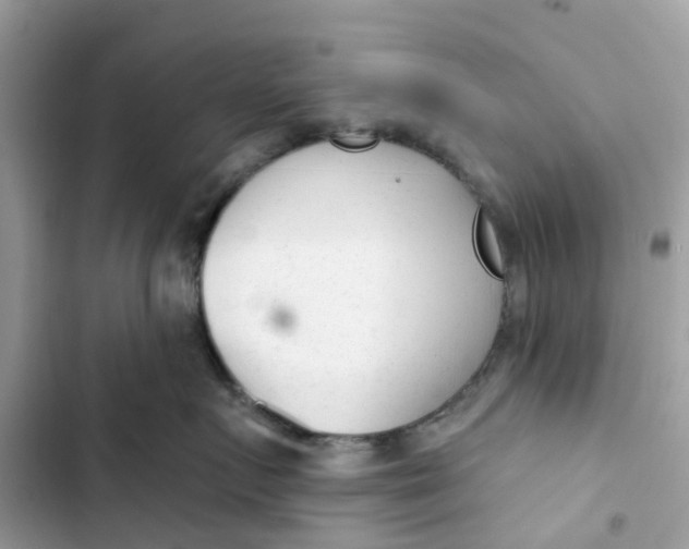 X0000103280719200809191806