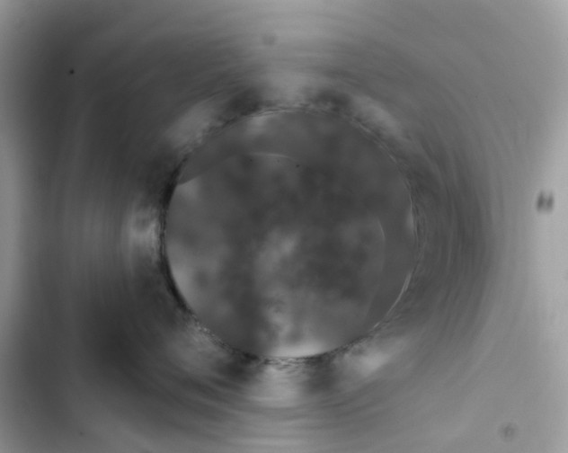 X0000103280720200809191806