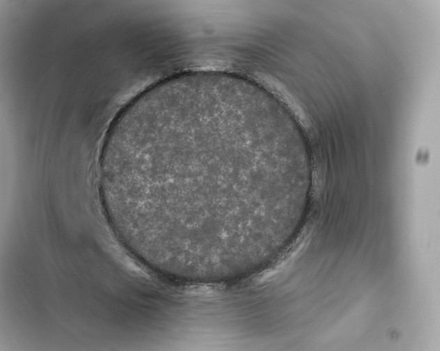 X0000103280721200809191805