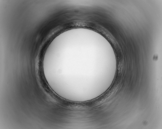 X0000103280722200809191805