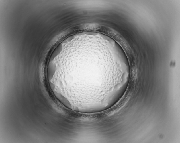 X0000103280725200809191805