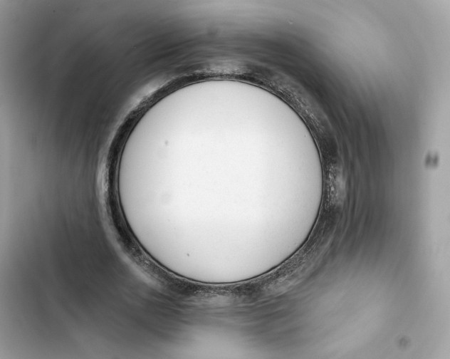 X0000103280726200809191805