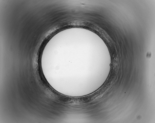 X0000103280727200809191805