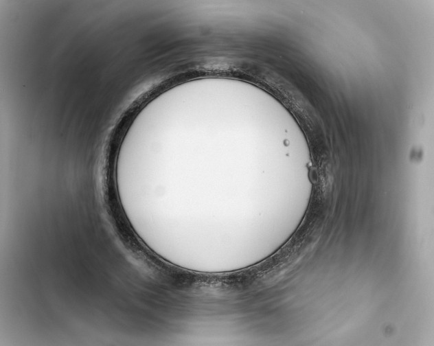 X0000103280728200809191805