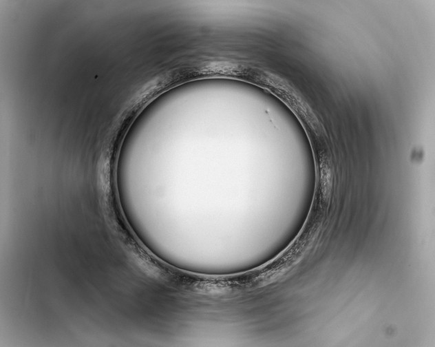 X0000103280729200809191805