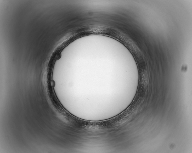 X0000103280730200809191805