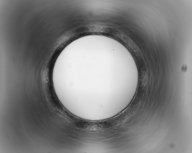 X0000103280731200809191805