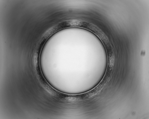 X0000103280733200809191805