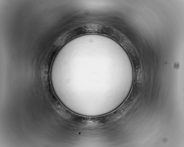 X0000103280737200809191805