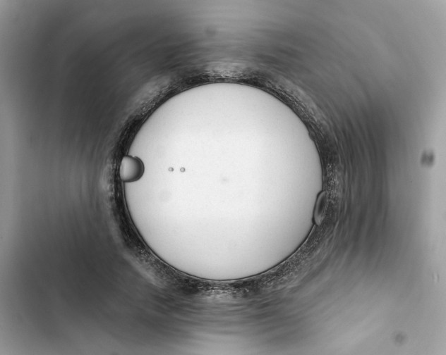 X0000103280738200809191805