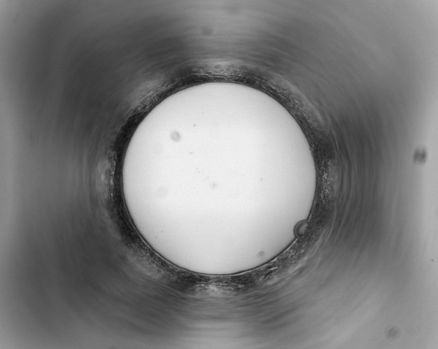 X0000103280739200809191805