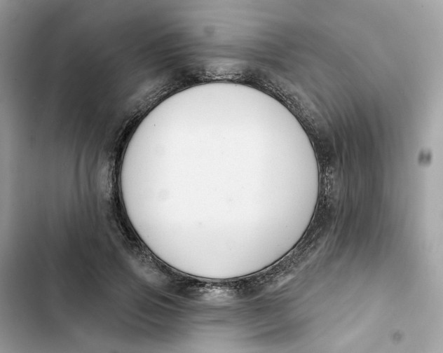 X0000103280741200809191805