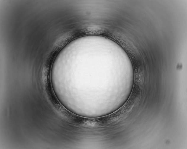 X0000103280742200809191805