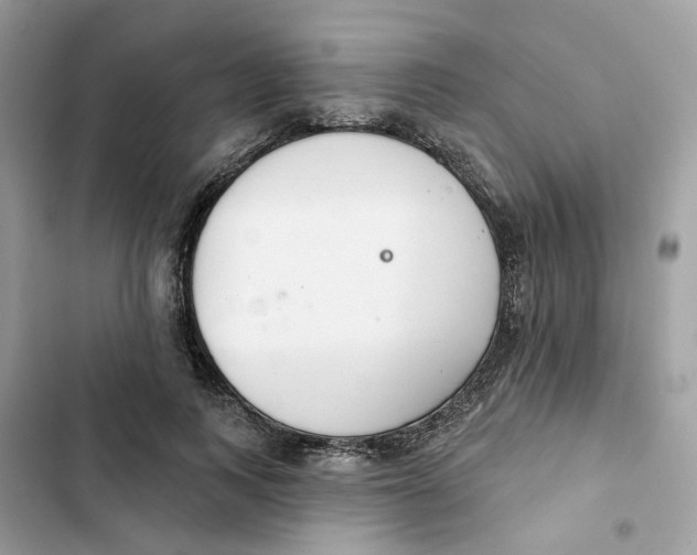 X0000103280743200809191806