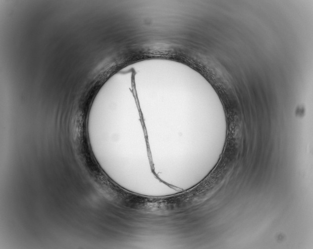 X0000103280744200809191806