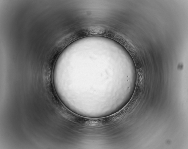 X0000103280745200809191806