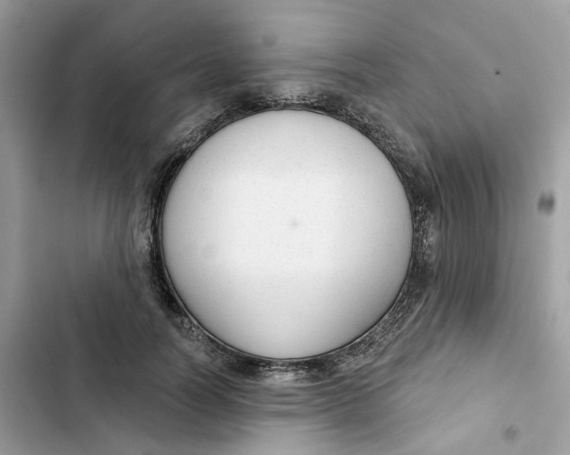 X0000103280746200809191806