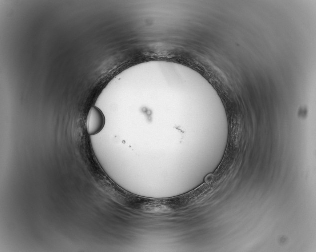 X0000103280747200809191806