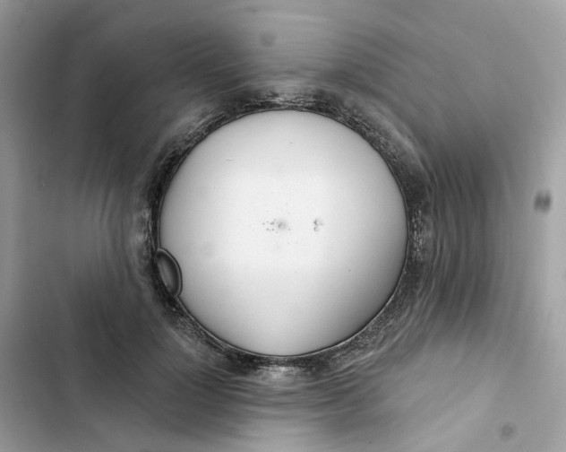 X0000103280748200809191806